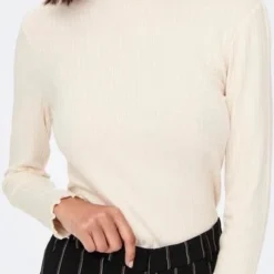 JDYFRANSISKA L/S HIGHNECK TOP JRS NOOS -Dameskleding Verkoop 335x840