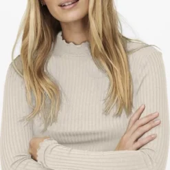 JDYFRANSISKA L/S HIGHNECK TOP JRS NOOS -Dameskleding Verkoop 457x840 1