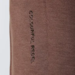 Colourful Rebel Jiby Broek Bruin Dames - Polyester - L -Dameskleding Verkoop 519x840 3