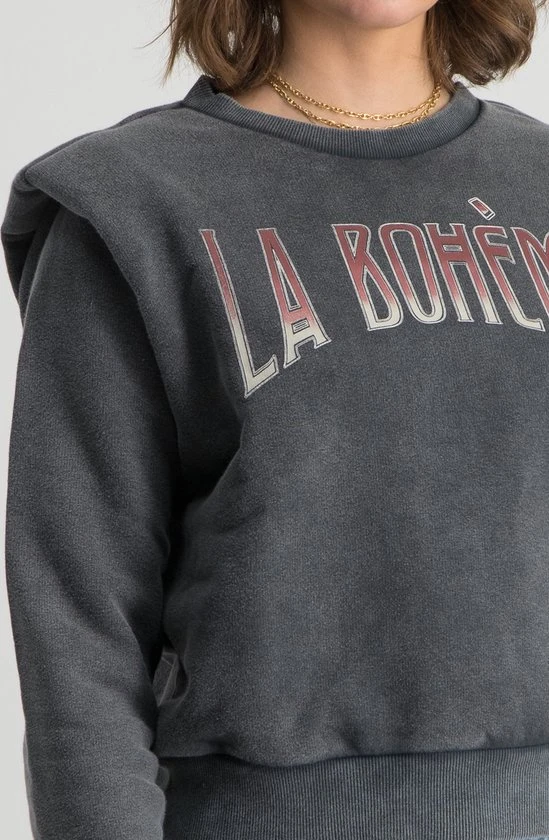 Colourful Rebel La Bohème Trui Grijs Dames - Loose Fit - Katoen - S 5 Colourful Rebel La Bohème Trui Grijs Dames - Loose Fit - Katoen - S - Afbeelding 5