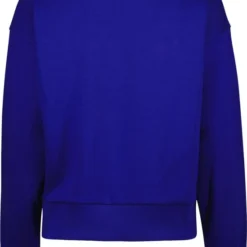 Raizzed Trui Falun R222awn34005 Royal Cobalt Dames Maat - M -Dameskleding Verkoop 550x737 4