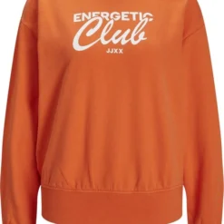 JJXX JXBEATRICE LS LOOSE VINT SWEAT NOOS Dames Trui - Maat XS