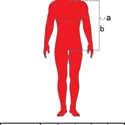 Fruit Of The Loom Sweater Raglan Sweat Ronde Hals Groen Maat L 7 Fruit Of The Loom Sweater Raglan Sweat Ronde Hals Groen Maat L -Dameskleding Verkoop 550x765 7