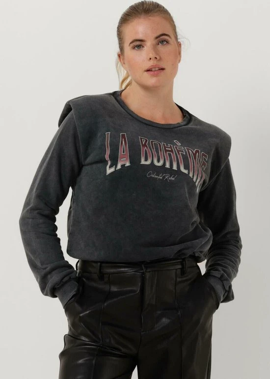 Colourful Rebel La Bohème Trui Grijs Dames - Loose Fit - Katoen - S 11 Colourful Rebel La Bohème Trui Grijs Dames - Loose Fit - Katoen - S - Afbeelding 11