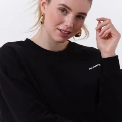 Colourful Rebel Art Eagle Jurk Zwart Dames - Loose Fit - Katoen - M -Dameskleding Verkoop 550x785 4