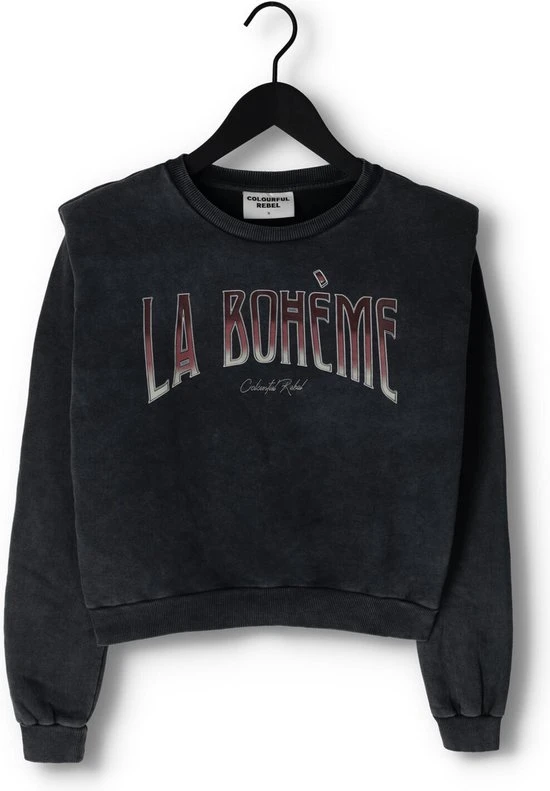 Colourful Rebel La Bohème Trui Grijs Dames - Loose Fit - Katoen - S 9 Colourful Rebel La Bohème Trui Grijs Dames - Loose Fit - Katoen - S - Afbeelding 9