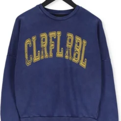 Colourful Rebel CR Acid Wash Trui Blauw Dames - Loose Fit - Katoen - M -Dameskleding Verkoop 550x799 6