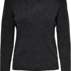 ONLY ONLRICA LIFE L/S PULLOVER KNT NOOS Dames Pullovers - Maat L