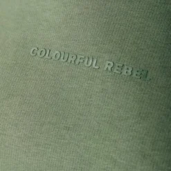 Colourful Rebel Logo Trui Groen Dames - Loose Fit - Katoen - S -Dameskleding Verkoop 550x824 111