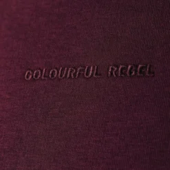 Colourful Rebel Logo Trui Rood Dames - Slim Fit - Katoen - M -Dameskleding Verkoop 550x824 138