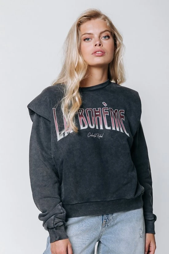 Colourful Rebel La Bohème Trui Grijs Dames - Loose Fit - Katoen - S 1 Colourful Rebel La Bohème Trui Grijs Dames - Loose Fit - Katoen - S