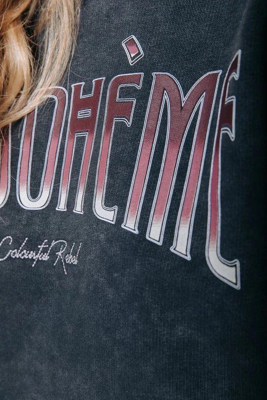 Colourful Rebel La Bohème Trui Grijs Dames - Loose Fit - Katoen - S 4 Colourful Rebel La Bohème Trui Grijs Dames - Loose Fit - Katoen - S - Afbeelding 4